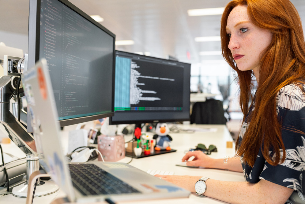software testing